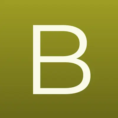 БСС, компания, лого-визитка